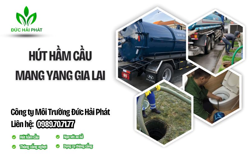 Hút hầm cầu Mang Yang