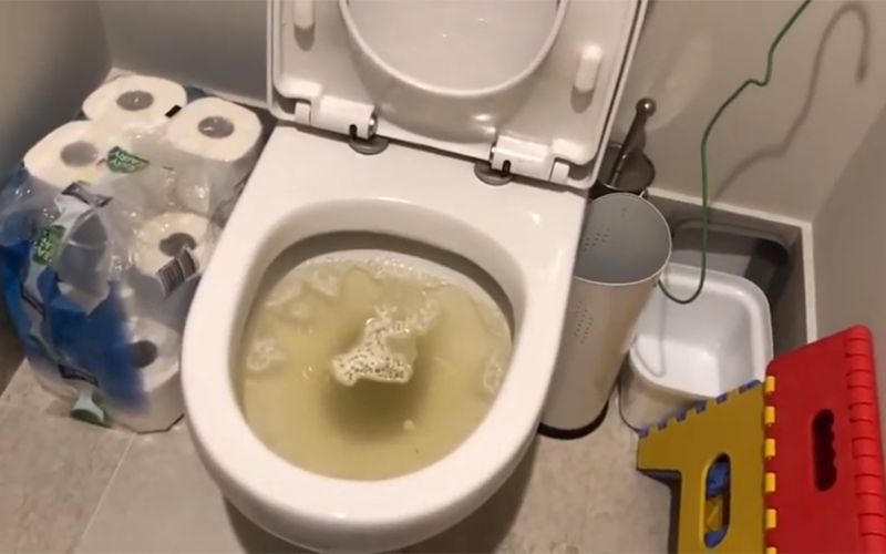 Mẹo giữ nhà vệ sinh không hôi quanh năm