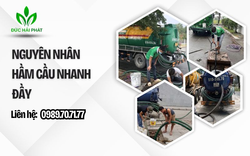 Nguyên nhân hầm cầu nhanh đầy