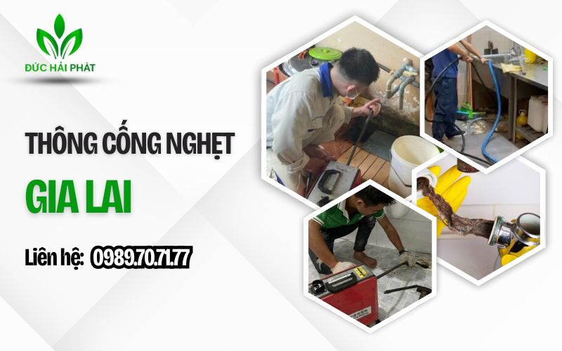 thông cống nghẹt gia lai